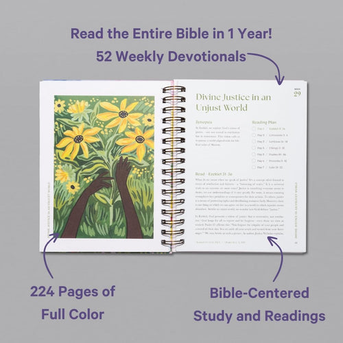 A Beautiful Year in the Bible Study (Spiral Bound)