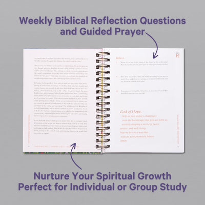 A Beautiful Year in the Bible Study (Spiral Bound)