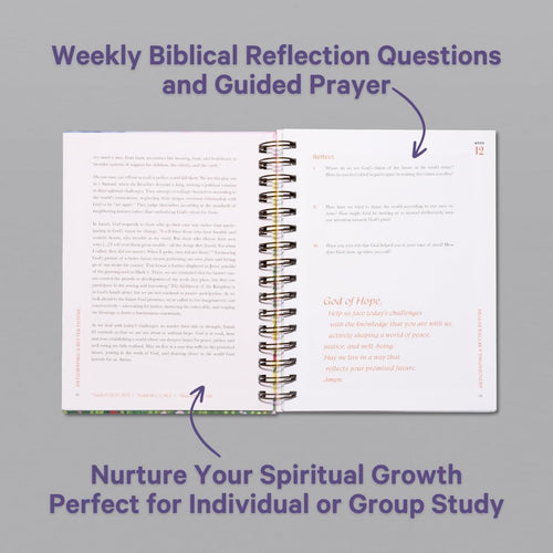 A Beautiful Year in the Bible Study (Spiral Bound)