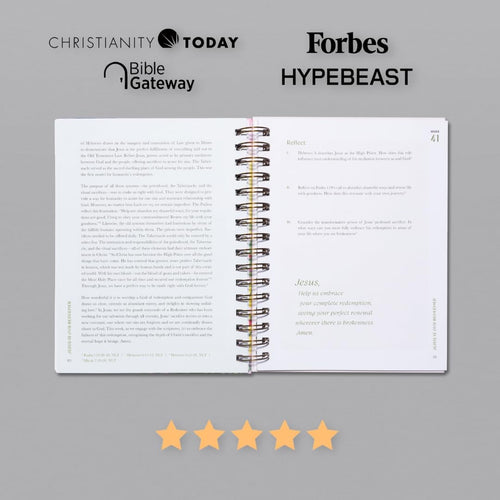 A Beautiful Year in the Bible Study (Spiral Bound)
