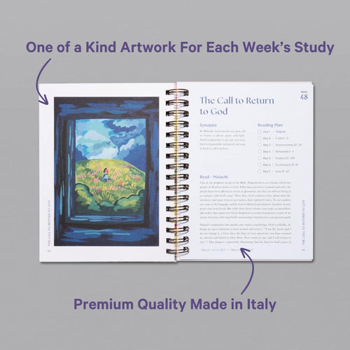 A Beautiful Year in the Bible Study (Spiral Bound)