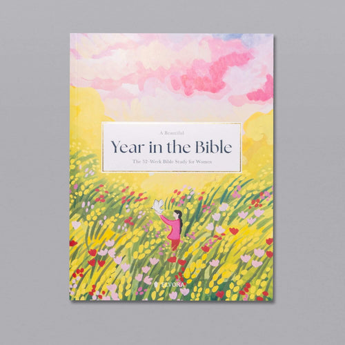 A Beautiful Year in the Bible Study - 70% OFF!