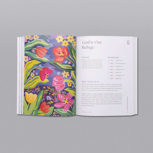 A Beautiful Year in the Bible Study - 70% OFF!