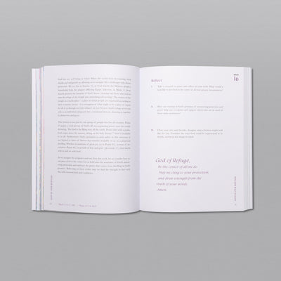 A Beautiful Year in the Bible Study - 70% OFF!