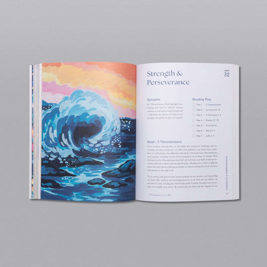 A Beautiful Year in the Bible Study - 70% OFF!